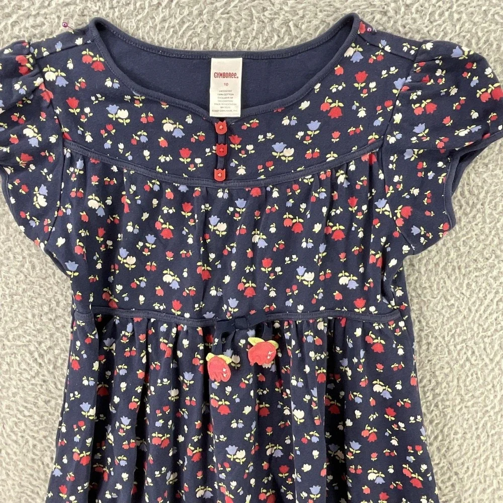 Gymboree Dress Girls 10 Blue Floral Fit & Flare Puff Sleeve Empire Waist Button